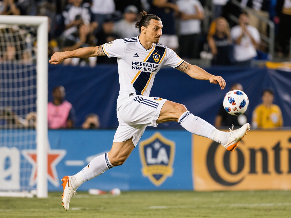 判断和冷静 判断和冷静